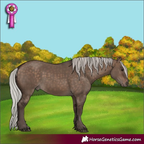 Horse Color:Silver Brown Dun