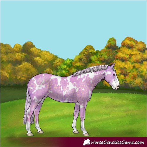 Horse Color:Watercolor White Spotted Silver Brown Dun Sabino Brindle 