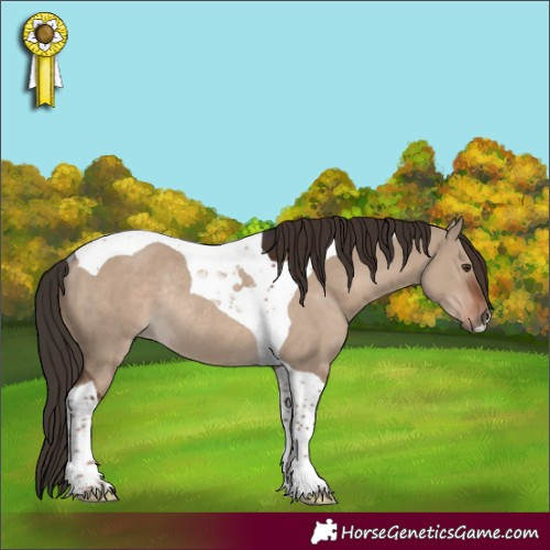 Horse Color:Liver Red Dun Tobiano Rabicano 