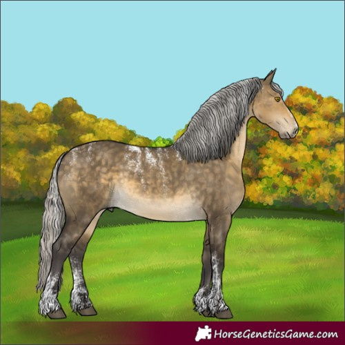 Horse Color:Powder White Silver Buckskin Dun 