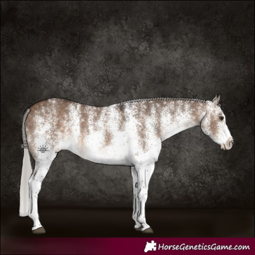 Horse Color:White Spotted Silver Brown Dun 