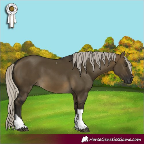 Horse Color:Gray Silver Buckskin Dun Tobiano 