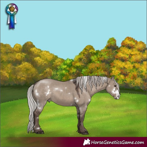 Horse Color:White Spotted Silver Grullo Rabicano
