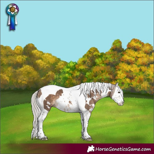 Horse Color:White Spotted Silver Brown Dun Splash Tobiano 
