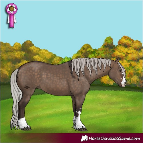 Horse Color:Silver Brown Dun 