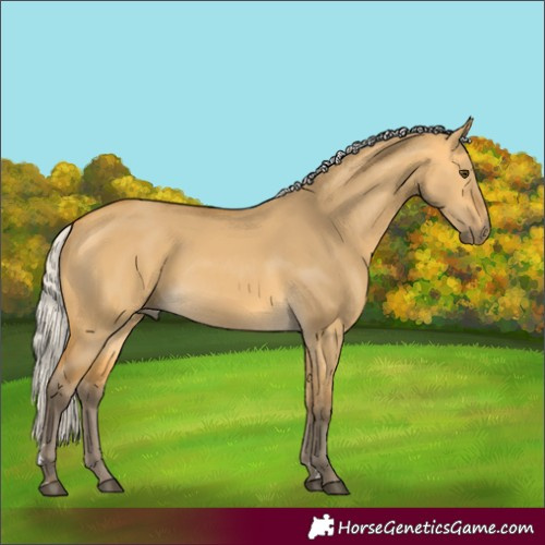 Horse Color:Silver Buckskin Dun