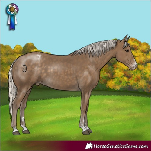 Horse Color:Silver Smoky Black Varnish 