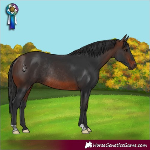 Horse Color:Brown Rabicano