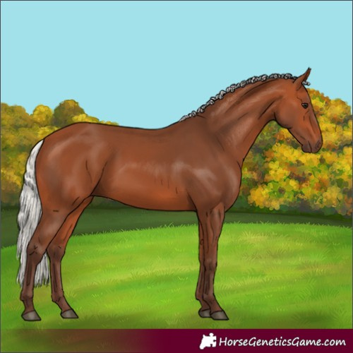 Horse Color:Silver Bay