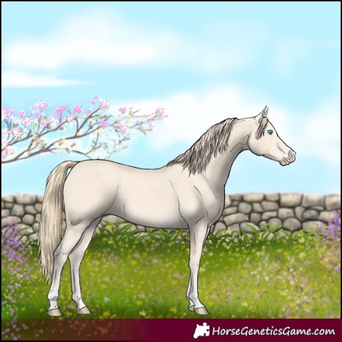 Horse Color:Perlino