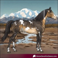 Horse Color:White Spotted Brown 