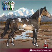 Horse Color:White Spotted Pseudo Buckskin 