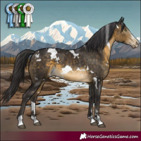 Horse Color:White Spotted Brown