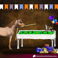 Horse Color:Red Roan 