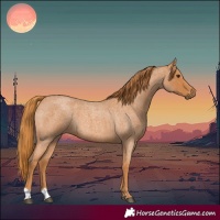 Horse Color:Red Roan 