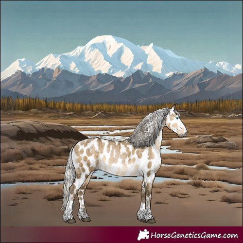 Horse Color:Gray White Spotted Silver Buckskin Pearl Dun Splash Tobiano Near Leopard Rabicano Brindle 
