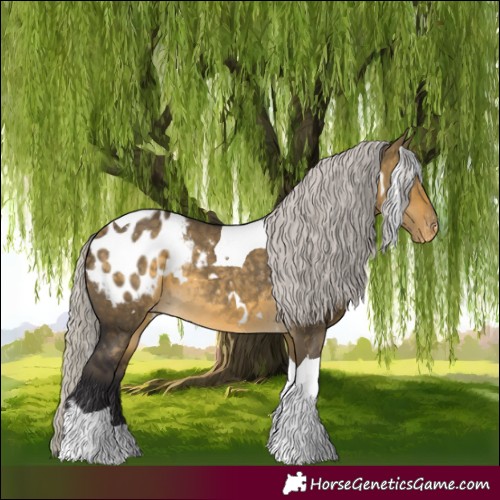 Horse Color:White Spotted Silver Buckskin Dun Tobiano Blanket