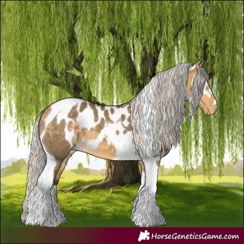 Horse Color:Silver Buckskin Dun Tobiano Skewed LP Spotted