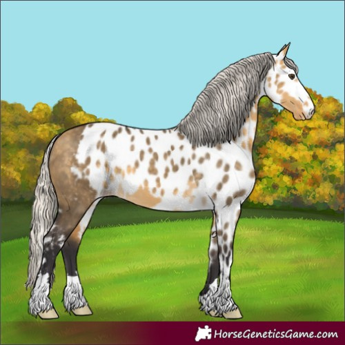 Horse Color:Silver Buckskin Dun Skewed LP Spotted 