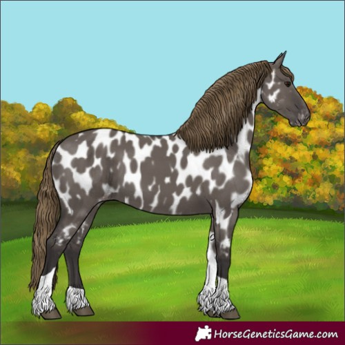Horse Color:Smoky Grullo Tobiano Near Leopard 