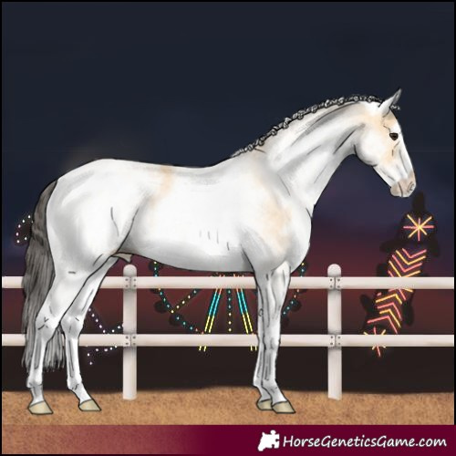 Horse Color:White Spotted Buckskin
