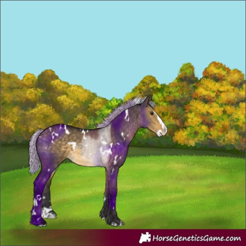 Horse Color:White Spotted Silver Buckskin Dun Splash