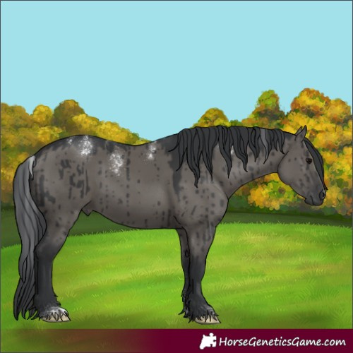 Horse Color:Powder White Grullo Brindle