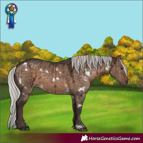 Horse Color:White Spotted Silver Brown Dun Rabicano Brindle
