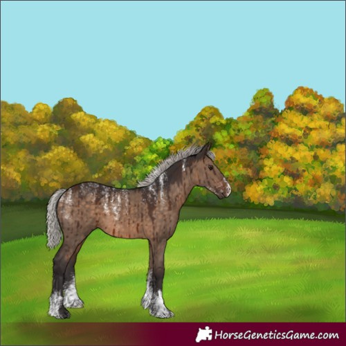 Horse Color:Powder White Silver Brown Dun Brindle