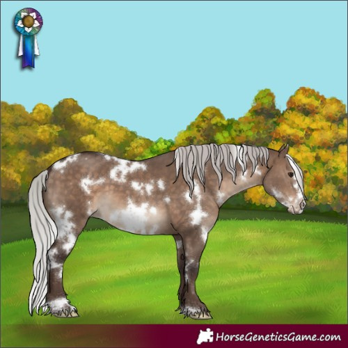 Horse Color:White Spotted Silver Brown Dun Frame