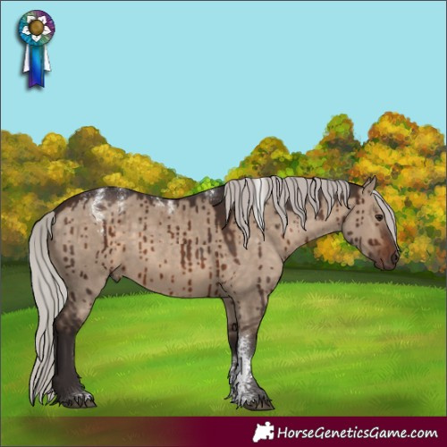 Horse Color:Powder White Silver Brown Dun Rabicano Brindle