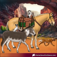Horse Color:Palomino
