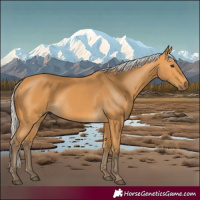 Horse Color:Silver Buckskin