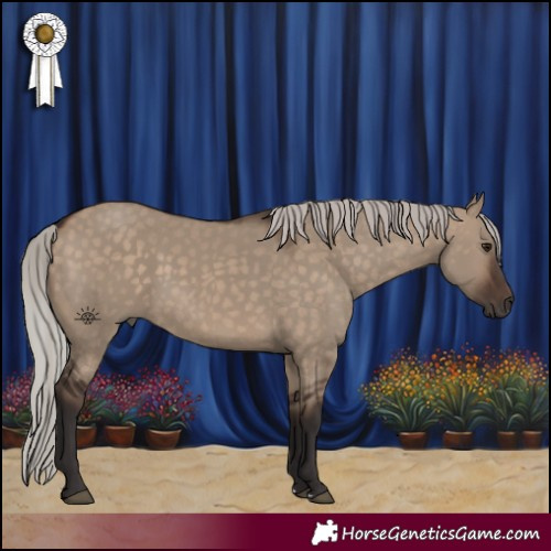 Horse Color:Silver Brown Dun