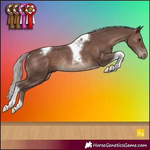 Horse Color:Silver Black Tobiano Varnish Rabicano 