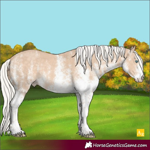 Horse Color:White Spotted Silver Perlino 
