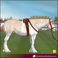 Horse Color:White Spotted Silver Perlino 