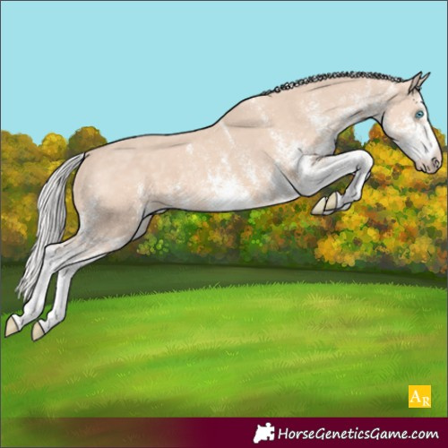 Horse Color:White Spotted Silver Perlino