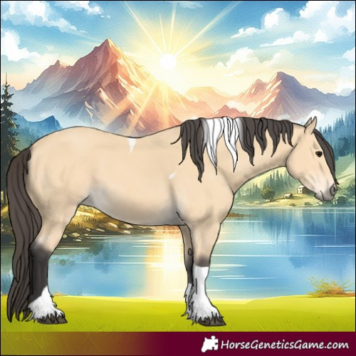 Horse Color:Buckskin Tobiano