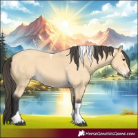 Horse Color:Buckskin Tobiano 