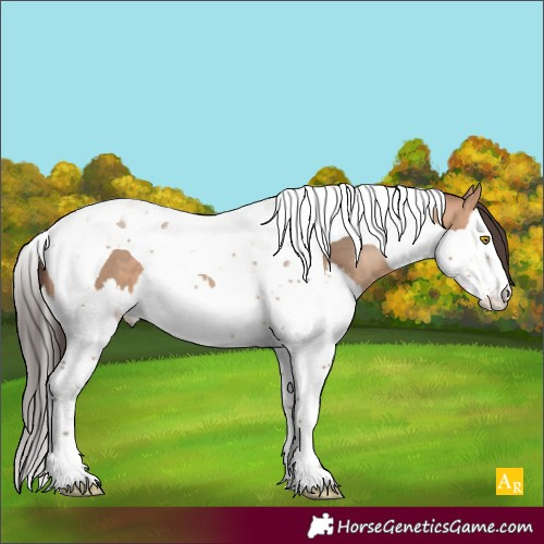 Horse Color:Amber Champagne Splash Tobiano 