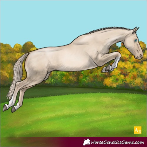 Horse Color:Chocolate Palomino Dun Tobiano Rabicano 