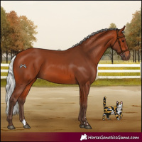 Horse Color:Silver Bay 