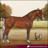 Horse Color:Silver Bay
