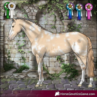 Horse Color:White Spotted Red Dun Sabino