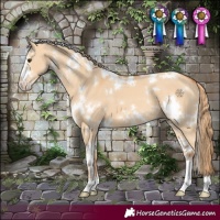 Horse Color:White Spotted Red Dun Sabino 