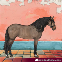 Horse Color:Brown Dun 