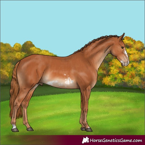 Horse Color:Chestnut and Chestnut Frame