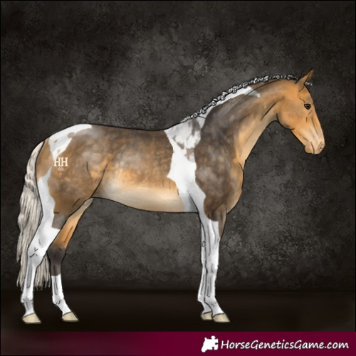 Horse Color:Silver Buckskin Tobiano Varnish Rabicano 