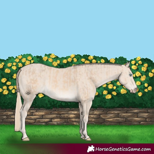 Horse Color:Cremello  and Smoky Creme 
